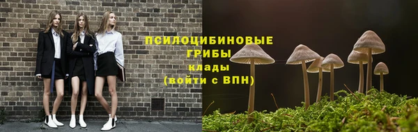 ECSTASY Чита