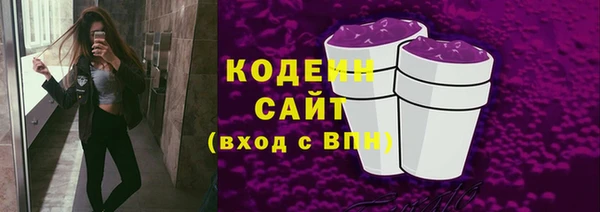 СК Нижний Тагил