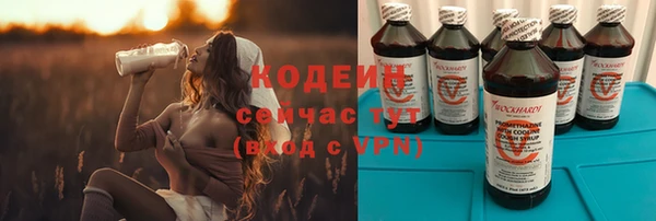 СК Нижний Тагил