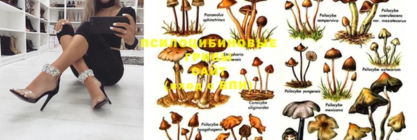 марихуана Архангельск